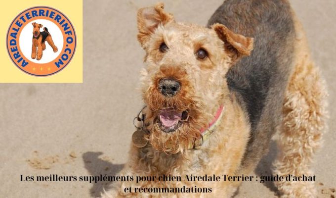 Les meilleurs suppléments pour chien Airedale Terrier : guide d’achat et recommandations