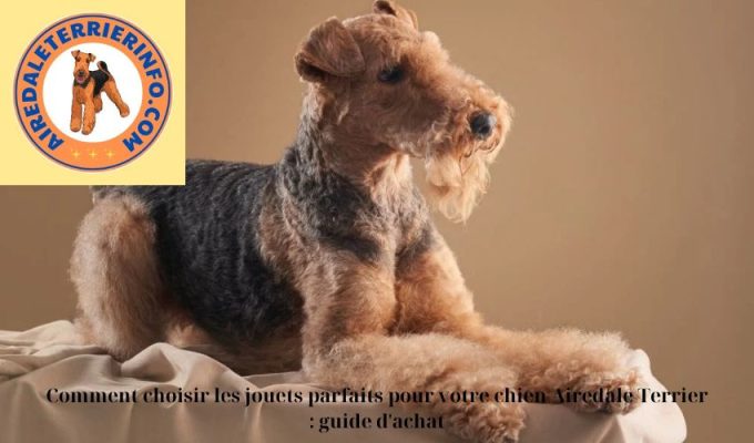 Comment choisir les jouets parfaits pour votre chien Airedale Terrier : guide d’achat