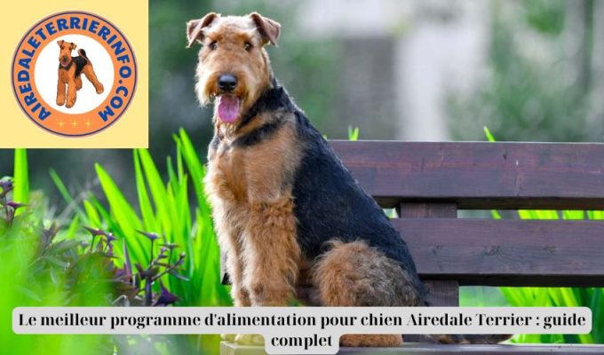 Le meilleur programme d’alimentation pour chien Airedale Terrier : guide complet