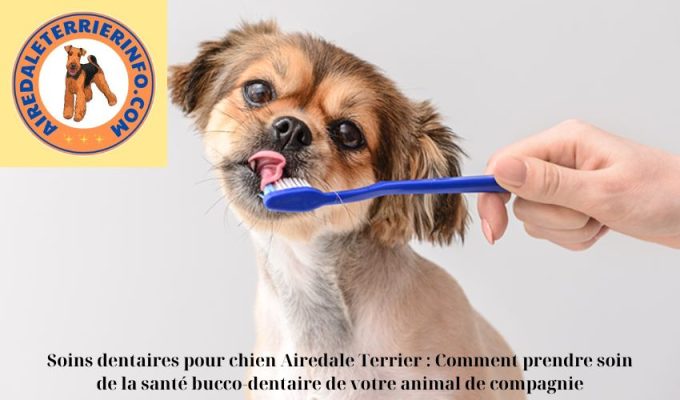 Soins dentaires pour chien Airedale Terrier : Comment prendre soin de la santé bucco-dentaire de votre animal de compagnie