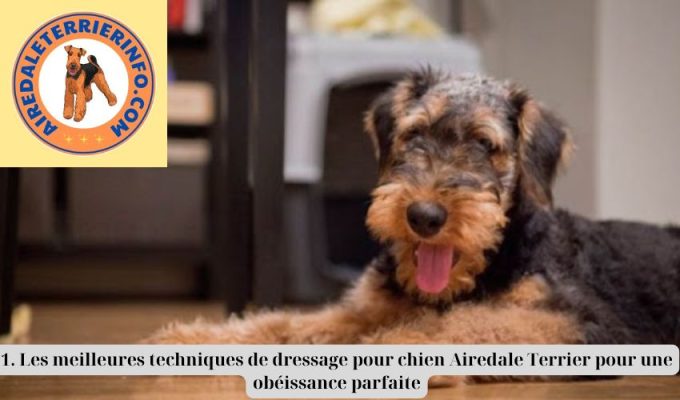 1. Les meilleures techniques de dressage pour chien Airedale Terrier pour une obéissance parfaite