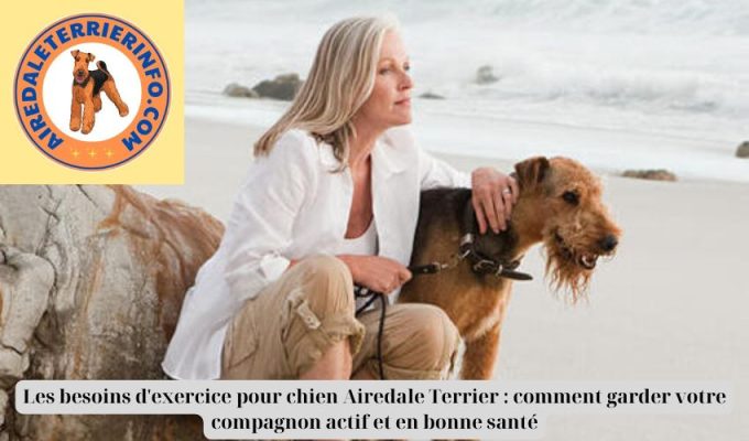 Les besoins d’exercice pour chien Airedale Terrier : comment garder votre compagnon actif et en bonne santé