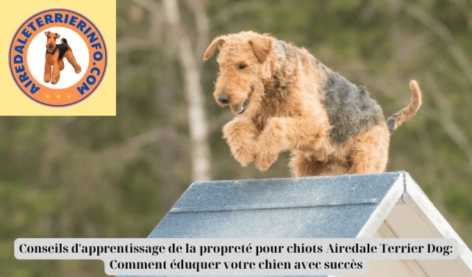 Conseils d’apprentissage de la propreté pour chiots Airedale Terrier Dog: Comment éduquer votre chien avec succès