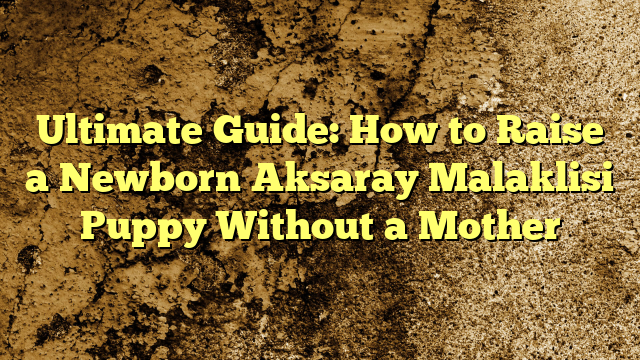 Final Information: Tips on how to Increase a New child Aksaray Malaklisi Pet And not using a Mom