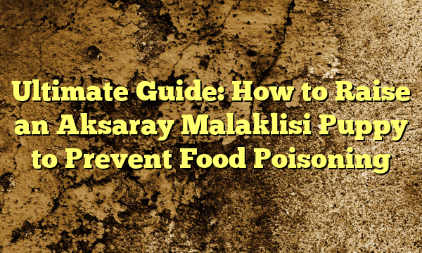 Final Information: How one can Increase an Aksaray Malaklisi Pet to Stop Meals Poisoning